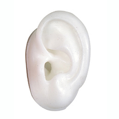 Modelo de oreja decorativa para la presentación de prótesis                                                                                                                                                                                               